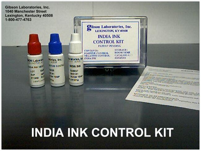 india ink staining whole blood